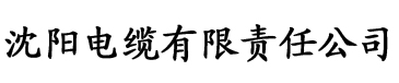 窝窝午夜看片香蕉电缆厂logo